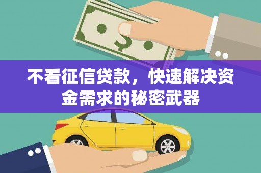 天镇不看征信贷款，快速解决资金需求的秘密武器