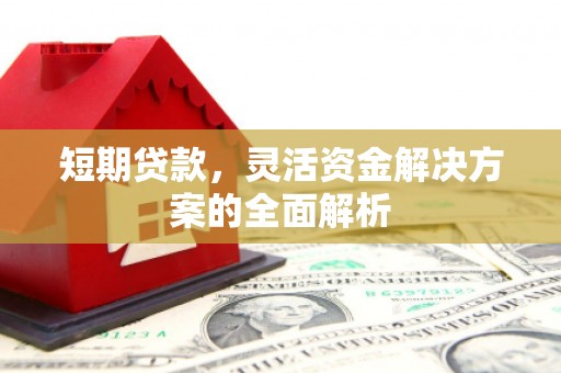 天镇短期贷款，灵活资金解决方案的全面解析
