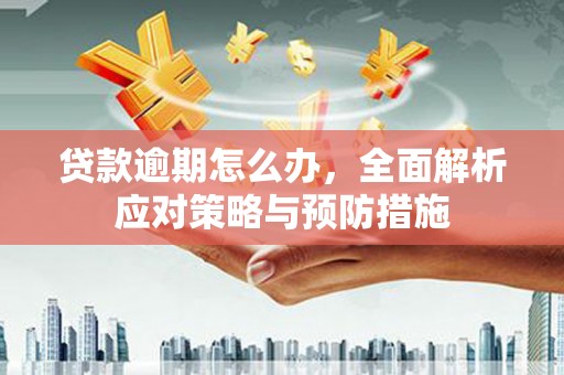 天镇贷款逾期怎么办，全面解析应对策略与预防措施