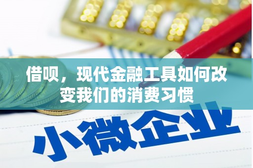 天镇借呗，现代金融工具如何改变我们的消费习惯
