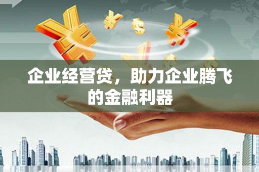 天镇企业经营贷，助力企业腾飞的金融利器