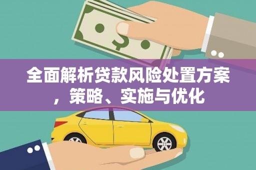 天镇全面解析贷款风险处置方案，策略、实施与优化