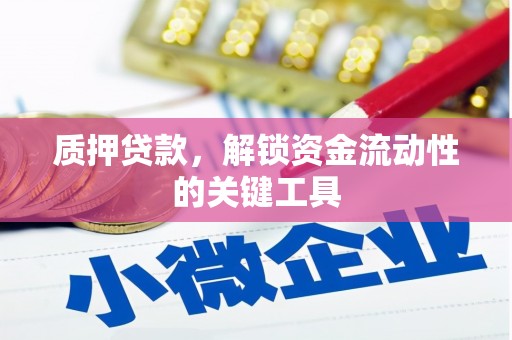 天镇质押贷款，解锁资金流动性的关键工具