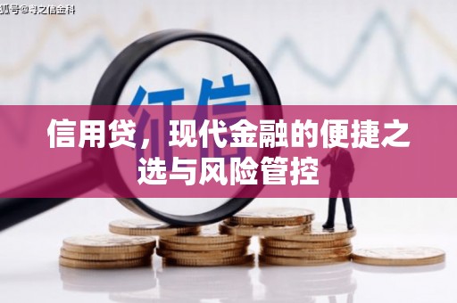 天镇信用贷，现代金融的便捷之选与风险管控