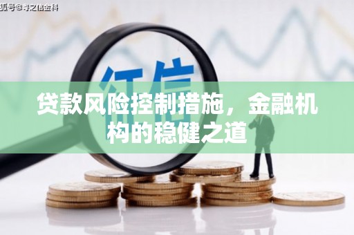 天镇贷款风险控制措施，金融机构的稳健之道