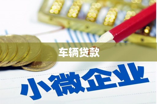 天镇车辆贷款