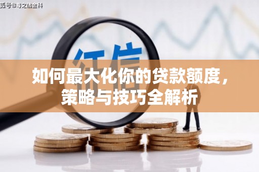 天镇如何最大化你的贷款额度，策略与技巧全解析