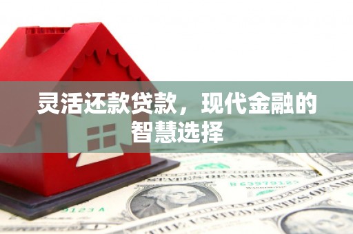 天镇灵活还款贷款，现代金融的智慧选择