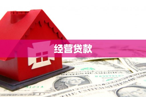 天镇经营贷款