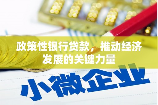 天镇政策性银行贷款，推动经济发展的关键力量