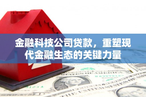 天镇金融科技公司贷款，重塑现代金融生态的关键力量