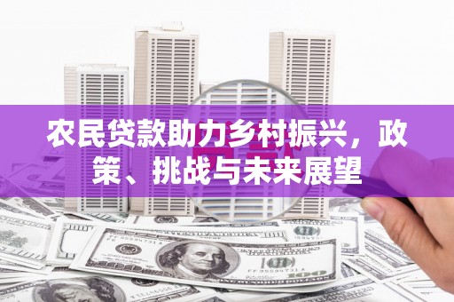 天镇农民贷款助力乡村振兴，政策、挑战与未来展望