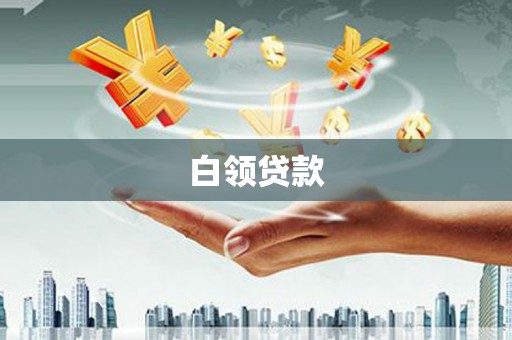 天镇白领贷款