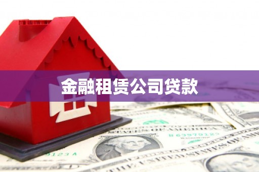 天镇金融租赁公司贷款