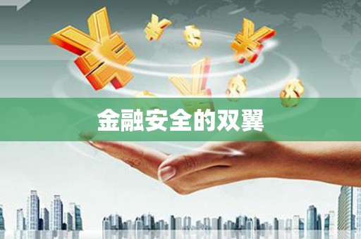 天镇金融安全的双翼