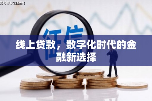 天镇线上贷款，数字化时代的金融新选择