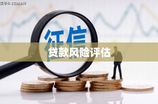 天镇贷款风险评估