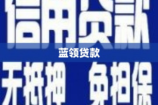 天镇蓝领贷款
