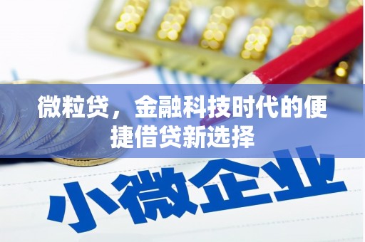 天镇微粒贷，金融科技时代的便捷借贷新选择