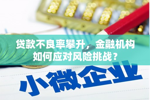 天镇贷款不良率攀升，金融机构如何应对风险挑战？