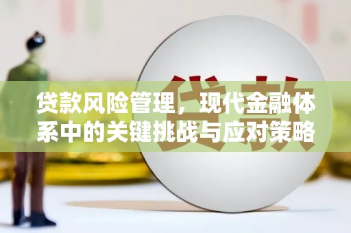 天镇贷款风险管理，现代金融体系中的关键挑战与应对策略