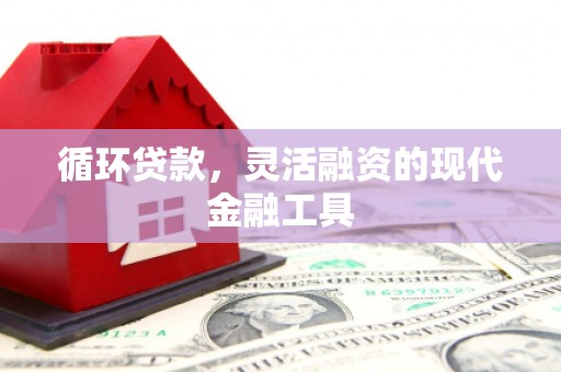 天镇循环贷款，灵活融资的现代金融工具