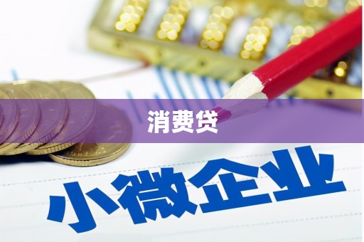天镇消费贷