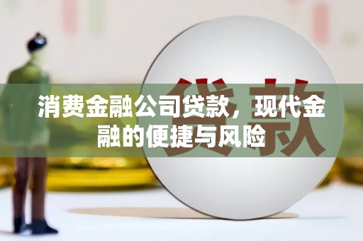 天镇消费金融公司贷款，现代金融的便捷与风险