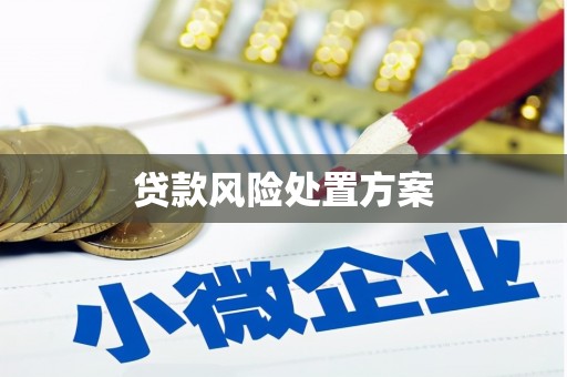 天镇贷款风险处置方案