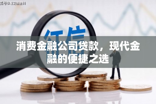 天镇消费金融公司贷款，现代金融的便捷之选