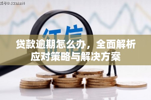 天镇贷款逾期怎么办，全面解析应对策略与解决方案