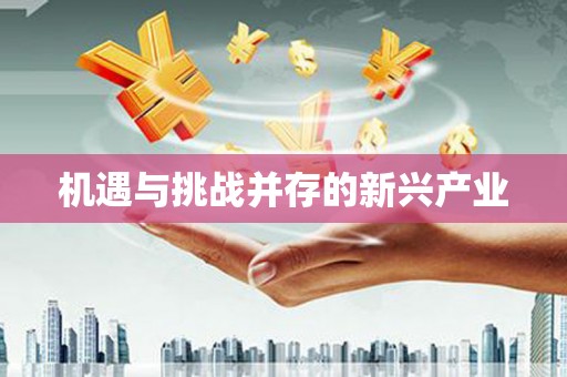 天镇机遇与挑战并存的新兴产业