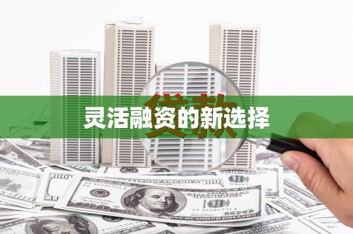 天镇灵活融资的新选择