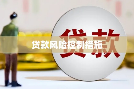 天镇贷款风险控制措施