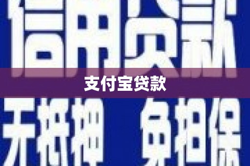 天镇支付宝贷款