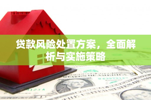 天镇贷款风险处置方案，全面解析与实施策略