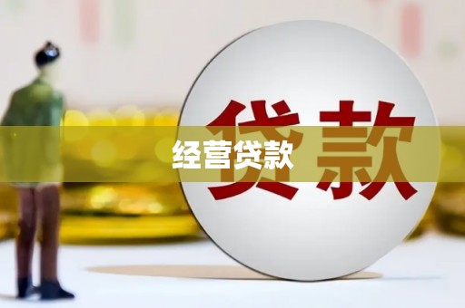 天镇经营贷款