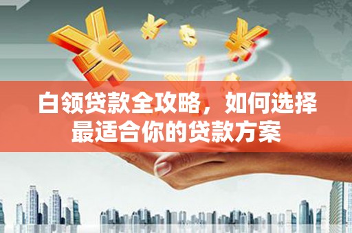 天镇白领贷款全攻略，如何选择最适合你的贷款方案